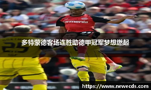 熊猫体育平台官网