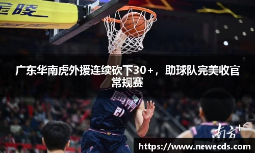 熊猫体育平台官网